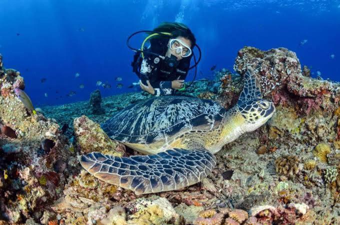 Apo Diver Beach Resort San Juan  Esterno foto